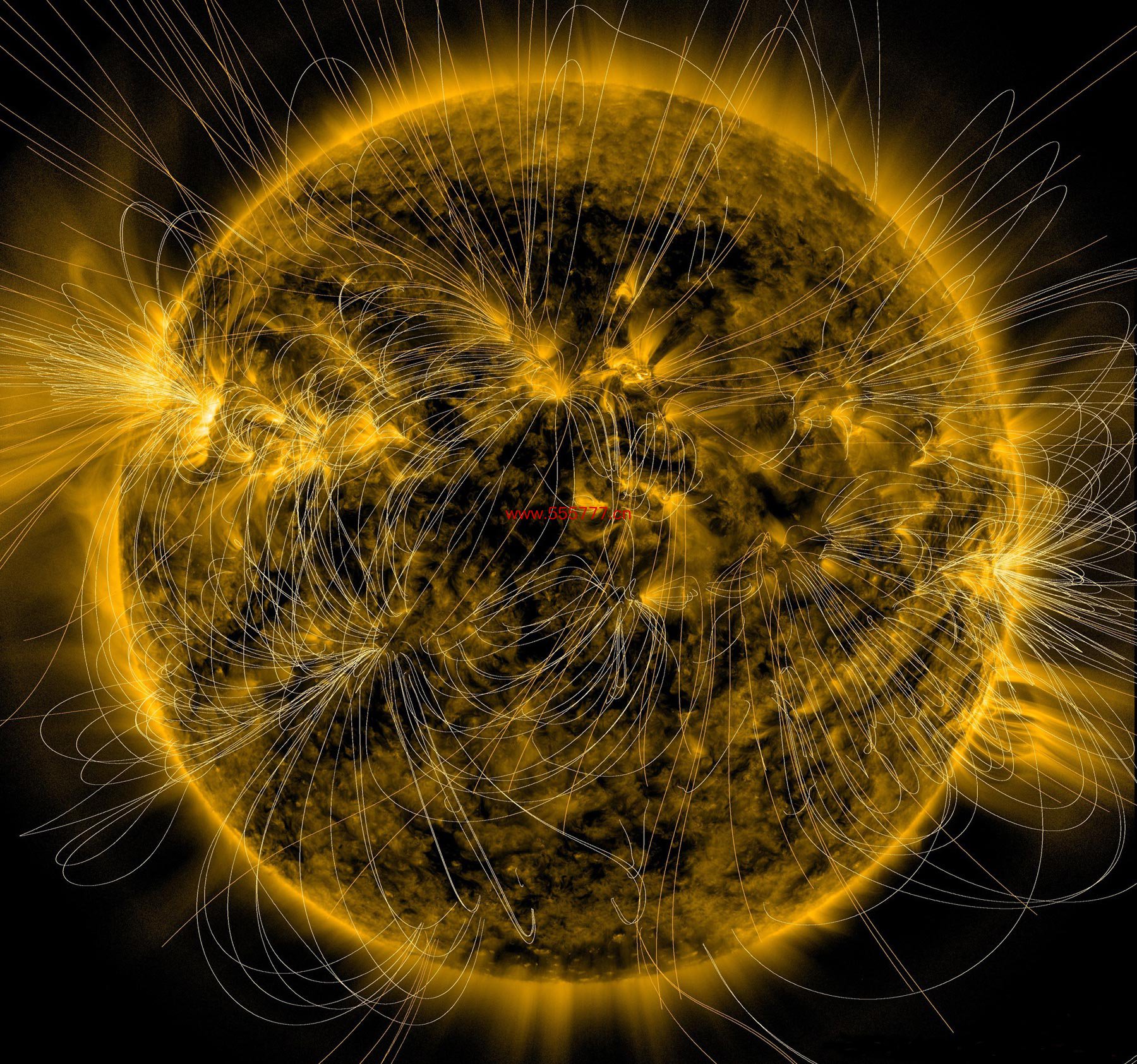 Suns-Magnetic-Field-Illustration.jpg